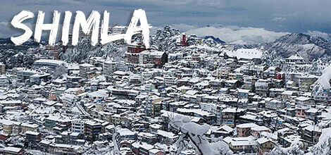 Team Building and Team Outing in Shimla