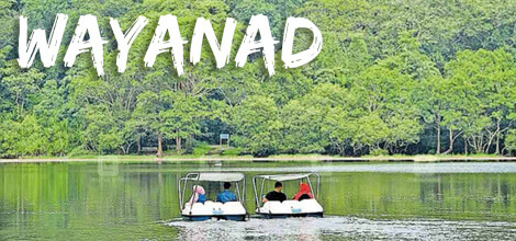 Team Building and Team Outing in Wayanad