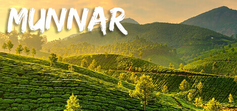 Team Building and Team Outing in Munnar
