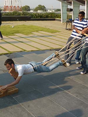 Low Rope Team Building Courses