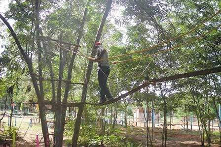 High Rope Team Building Courses