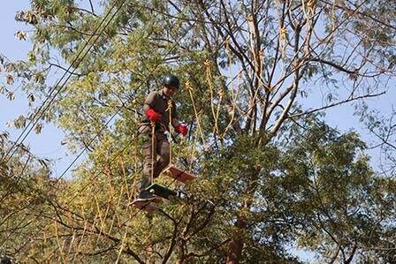 High Rope Team Building Courses