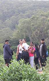Darjeeling Corporate Team Outing Places | Siegergroups.com